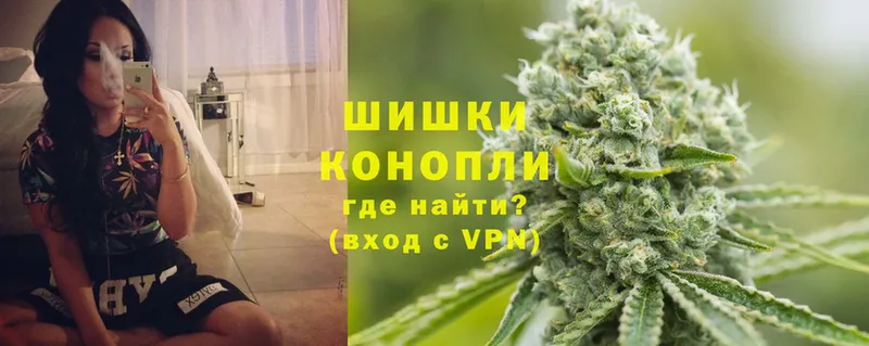 где купить   Злынка  Шишки марихуана THC 21% 